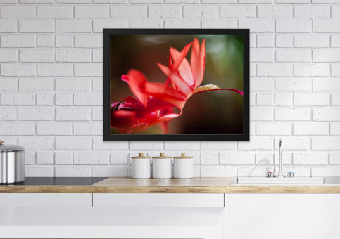 Tableaux personnalisés  Fleur de Cactée