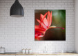 Tableaux personnalisés  Fleur de Cactée