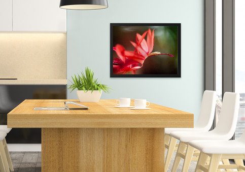 Tableaux personnalisés  Fleur de Cactée