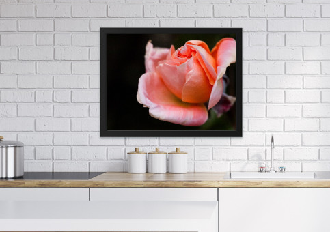 Tableaux personnalisés  Rose rose 2