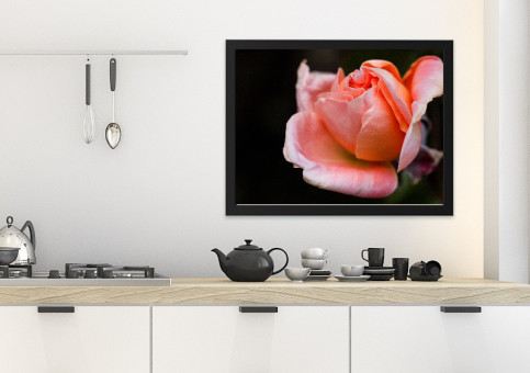 Tableaux personnalisés  Rose rose 2