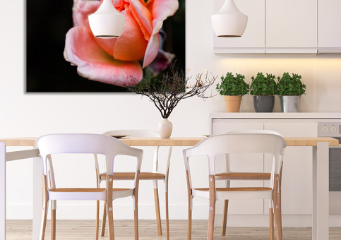 Tableaux personnalisés  Rose rose 2