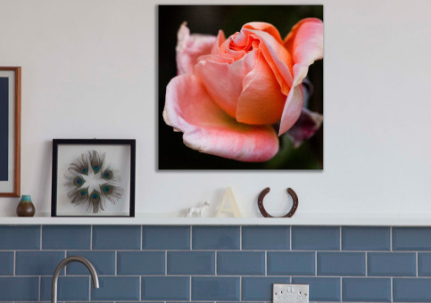 Tableaux personnalisés  Rose rose 2