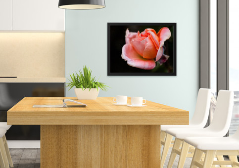 Tableaux personnalisés  Rose rose 2