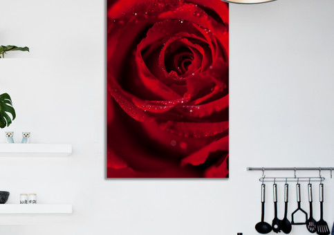 Tableaux personnalisés  Rose Dr Watson 1