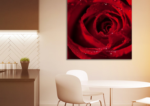 Tableaux personnalisés  Rose Dr Watson 1