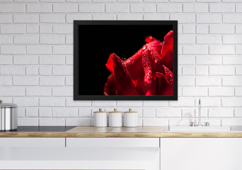 Tableaux personnalisés  Rose Dr Watson 2