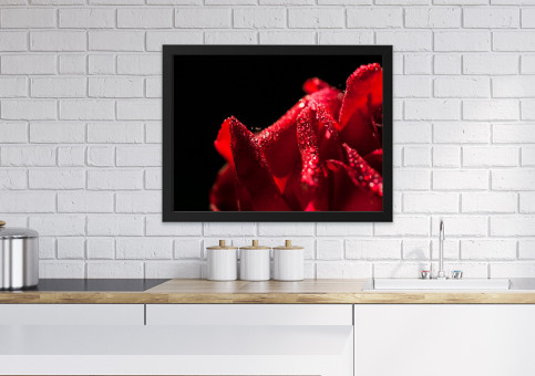 Tableaux personnalisés  Rose Dr Watson 2