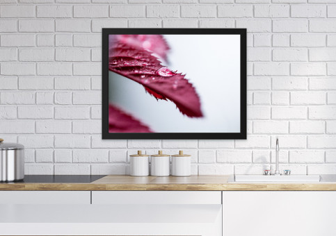 Tableaux personnalisés  Feuille de rosier Grandhuit