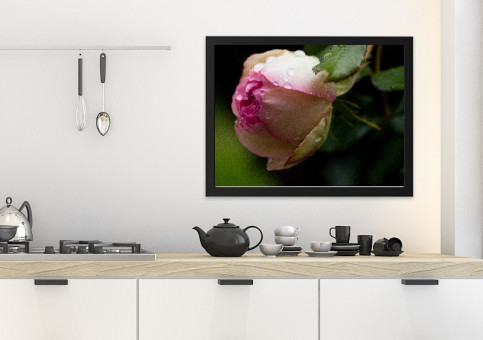 Tableaux personnalisés  Rose Pierre de Ronsart 2017