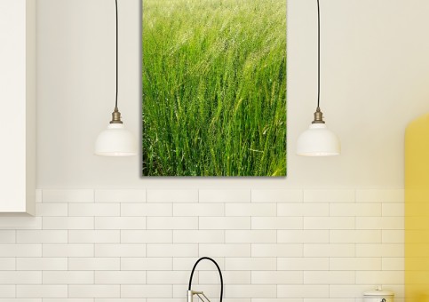 Tableaux personnalisés  Champ de blé 1