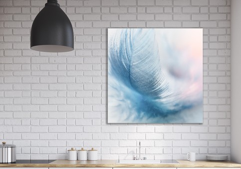 Tableaux personnalisés  Plume