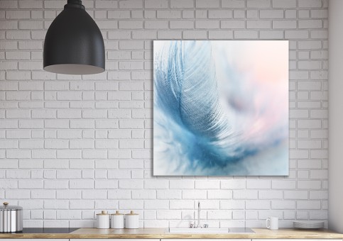 Tableaux personnalisés  Plume