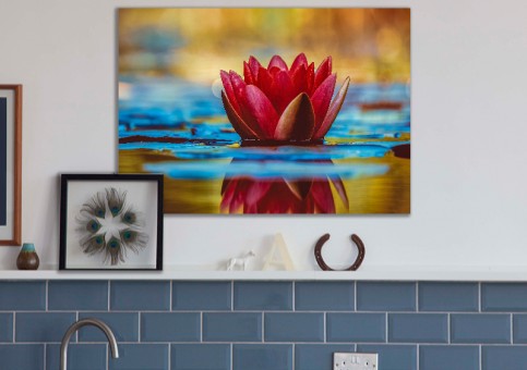  Water lily
