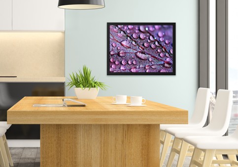  Dewdrops