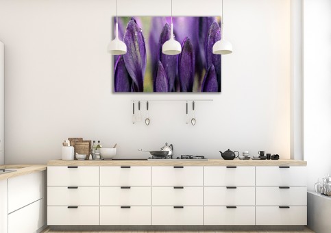 Tableaux personnalisés  Crocus