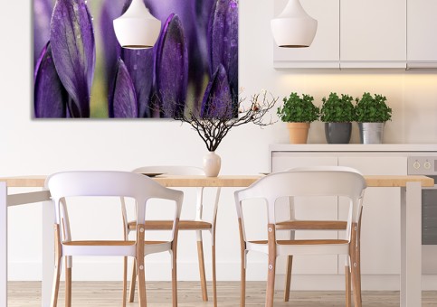  Crocus