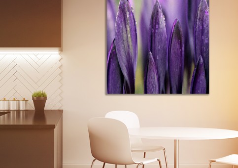 Tableaux personnalisés  Crocus