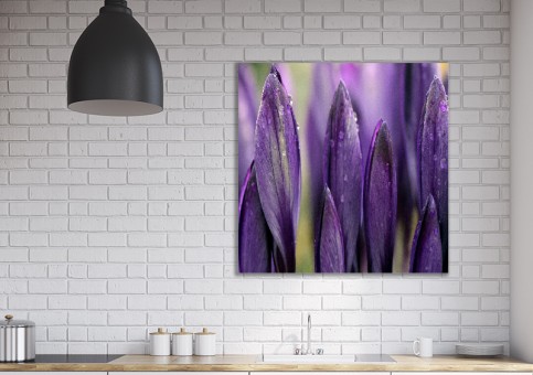 Tableaux personnalisés  Crocus