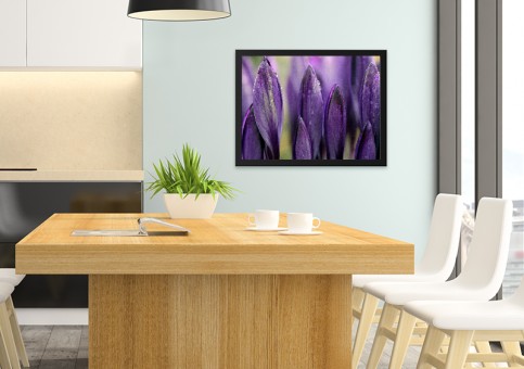 Tableaux personnalisés  Crocus