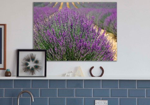 Tableaux personnalisés  Lavande