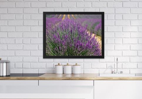 Tableaux personnalisés  Lavande