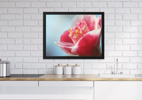 Tableaux personnalisés  Camelia