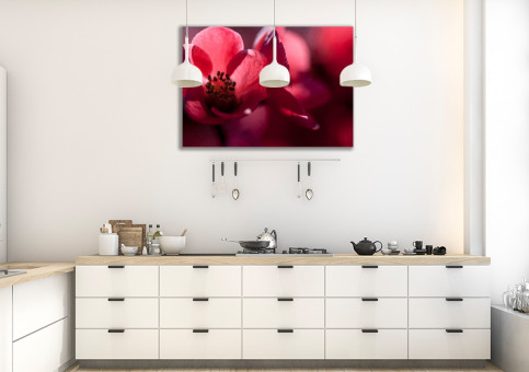 Tableaux personnalisés  Fleur du japon