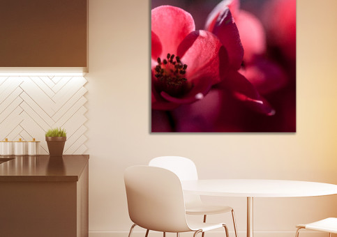 Tableaux personnalisés  Fleur du japon