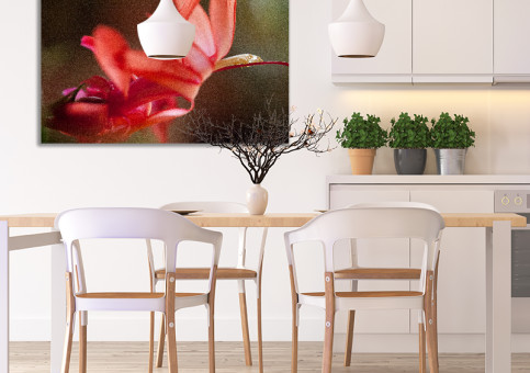 Tableaux personnalisés  Fleur de cactée