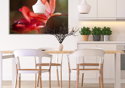 Tableaux personnalisés  Fleur de cactée