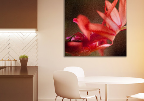 Tableaux personnalisés  Fleur de cactée