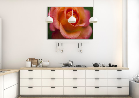 Tableaux personnalisés  Rose orangée