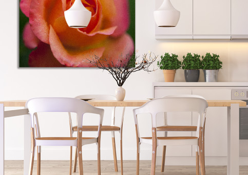 Tableaux personnalisés  Rose orangée