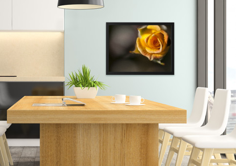 Tableaux personnalisés  Rose jaune