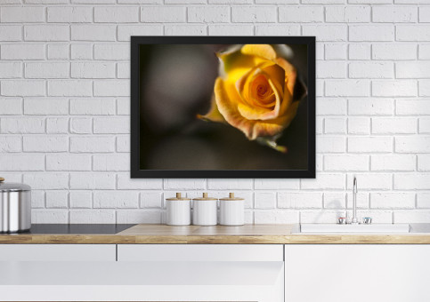 Tableaux personnalisés  Rose jaune