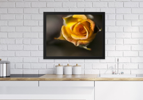 Tableaux personnalisés  Rose jaune