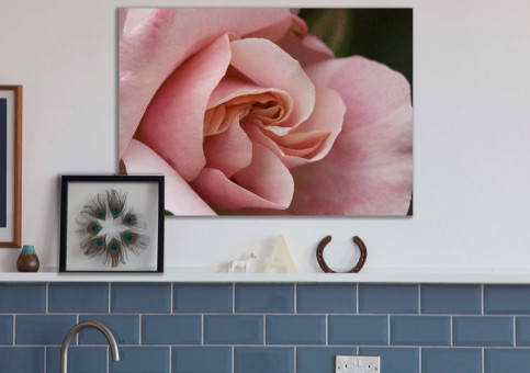 Tableaux personnalisés  Rose pâle