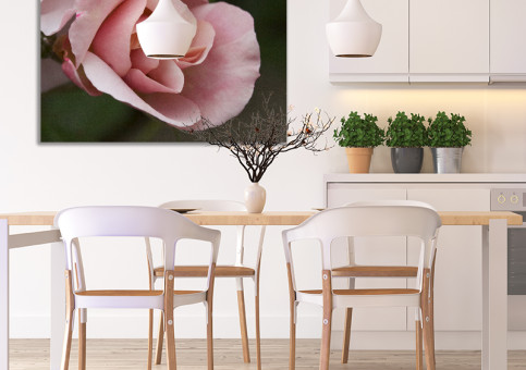 Tableaux personnalisés  Rose pâle