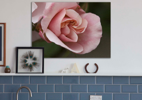 Tableaux personnalisés  Rose pâle