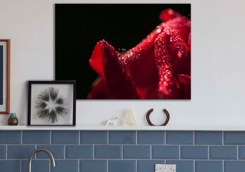 Tableaux personnalisés  Rose rouge