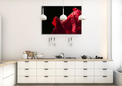 Tableaux personnalisés  Rose rouge