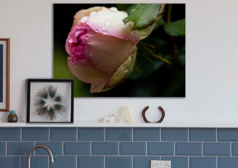 Tableaux personnalisés  Bouton de rose