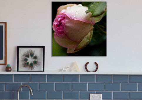 Tableaux personnalisés  Bouton de rose