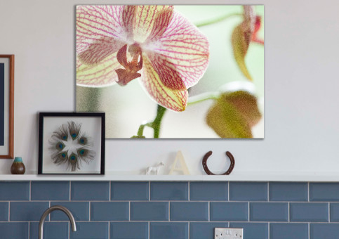 Tableaux personnalisés  Orchidée
