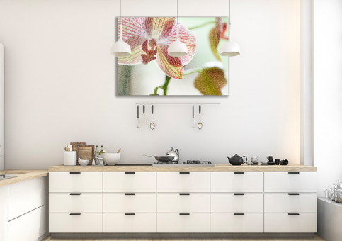 Tableaux personnalisés  Orchidée