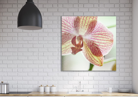 Tableaux personnalisés  Orchidée