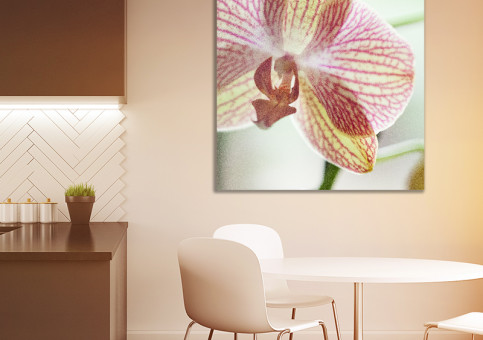 Tableaux personnalisés  Orchidée
