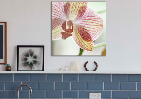 Tableaux personnalisés  Orchidée
