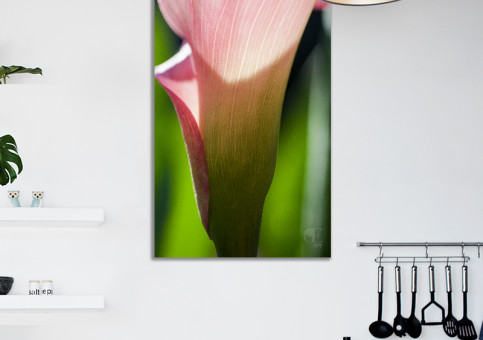 Tableaux personnalisés  Fleur De Calla